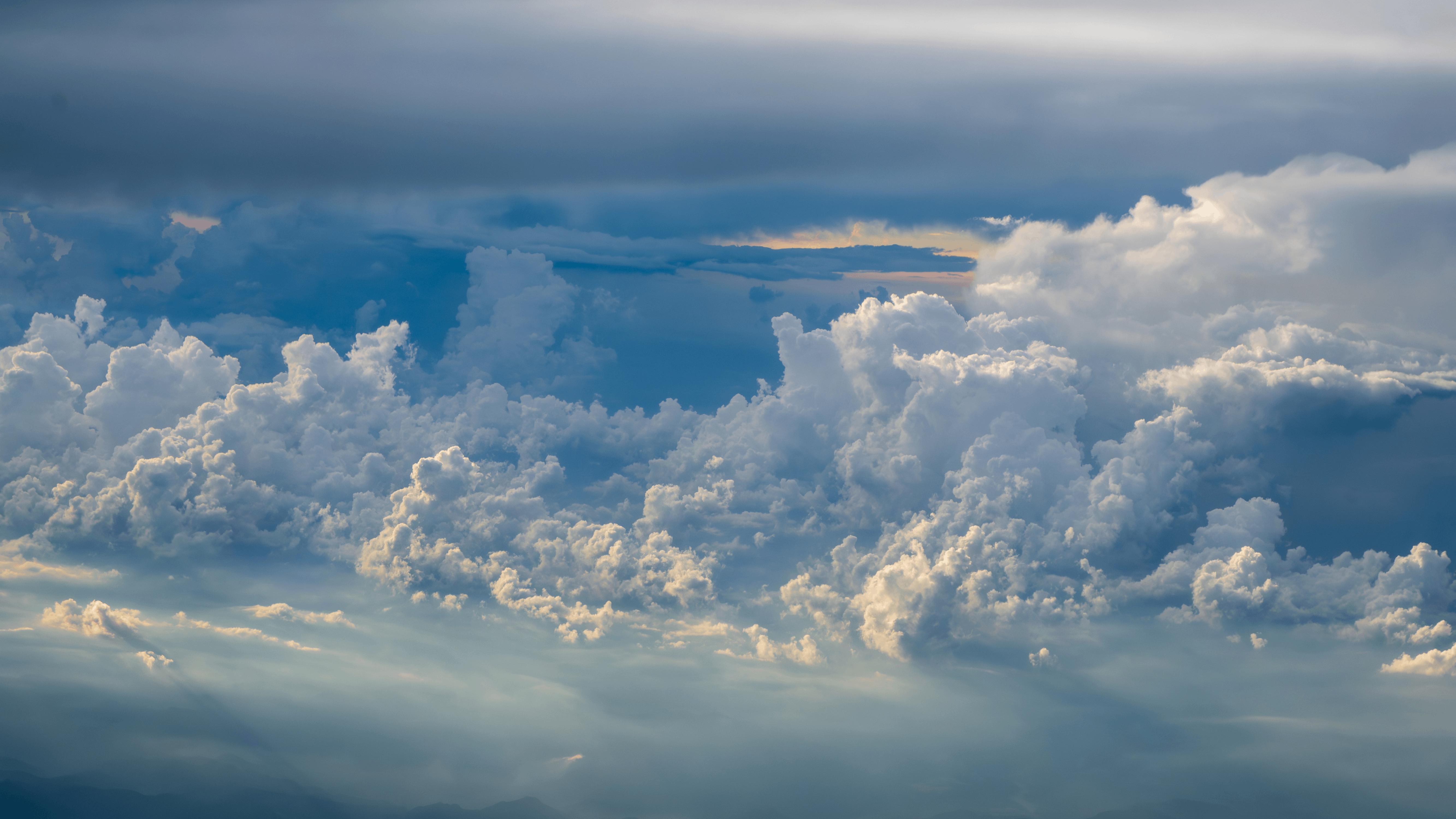 large picture of the cover